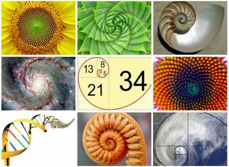 Dãy số kỳ diệu Fibonacci - tỉ lệ vàng mang lại lợi thế lớn trong bất kỳ thị trường nào cho nhà đầu tư