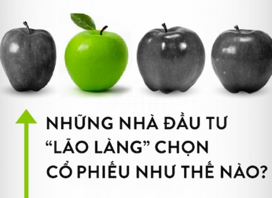 [Infographic] Những nhà đầu tư ‘lão làng’ chọn cổ phiếu như thế nào?