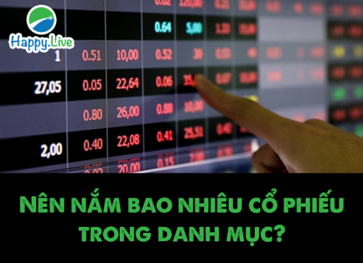 Nên nắm bao nhiêu cổ phiếu trong danh mục đầu tư?