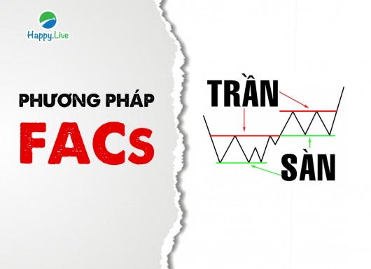 [Đầu tư theo phương pháp 4M] Phần 31 - Bước 6: PHƯƠNG PHÁP TRẦN VÀ SÀN (FACs - FLOORS AND CELLINGS)
