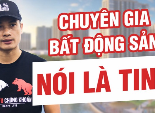 Các chuyên gia bất động sản nói gì trên báo? Bất động sản 2020 sẽ ra sao? Phần 4