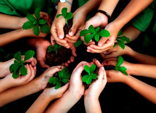 Give and take: Khả năng thành công của 3 kiểu người: cho, nhận và cân xứng