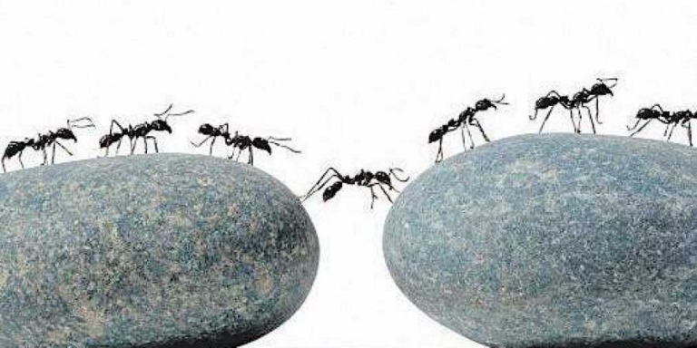 Mức độ kỷ luật tự giác cao nhất của người khôn ngoan: Làm những điều nên làm dù không thích