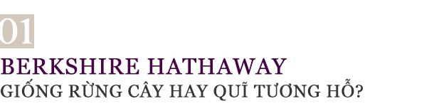 Warren Buffett bỏ lỡ cơ hội trong khủng hoảng