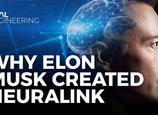 5 bài học khởi nghiệp từ Elon Musk