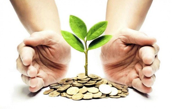 Dòng tiền đang chảy vào kênh đầu cơ?