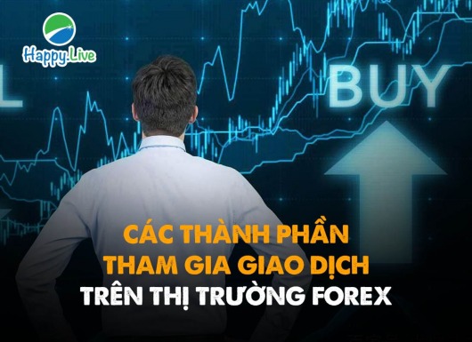 [Đầu tư Forex] - Phần 11: CÁC THÀNH PHẦN THAM GIA GIAO DỊCH TRÊN THỊ TRƯỜNG FOREX