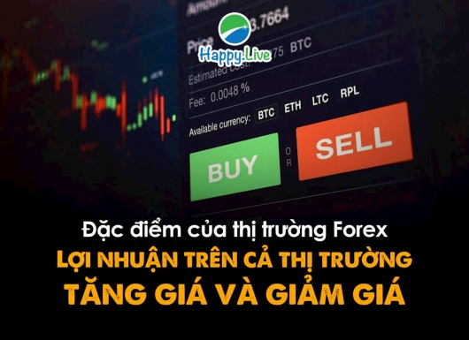 Đặc điểm của thị trường Forex (Phần 4): Lợi nhuận trên cả thị trường tăng giá và giảm giá