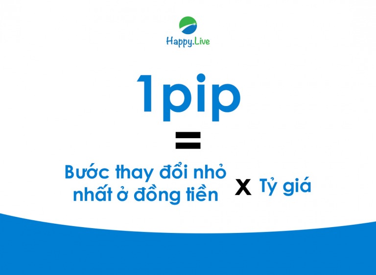 [Đầu tư Forex] - Phần 18: PIP VÀ PIPETTE