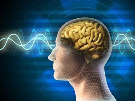 Khả năng tập trung của con người đang bị giết chết bởi công nghệ