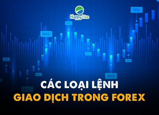 [Đầu tư Forex] - Phần 20: CÁC LOẠI LỆNH GIAO DỊCH TRONG FOREX