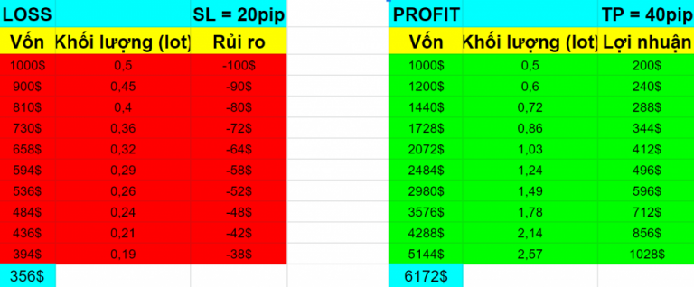 Phụ nữ Nhật Bản kiếm 12.000$/tháng từ Forex chỉ với một bí quyết đơn giản!