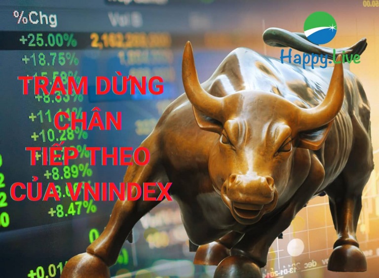 VN-INDEX DƯỚI GÓC NHÌN KỸ THUẬT: VN-INDEX ĐÃ VƯỢT 1000 ĐIỂM TRẠM NÀO LÀ TRẠM DỪNG CHÂN TIẾP THEO? (23/11/2020 - 27/11/2020)