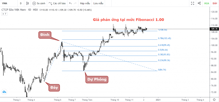 Fibonacci Dự phóng - Ví dụ thực tế