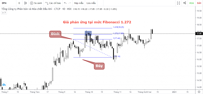 Fibonacci Mở rộng - Ví dụ thực tế