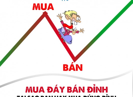 Tại sao bạn hay MUA đúng ĐỈNH và BÁN ngay ĐÁY