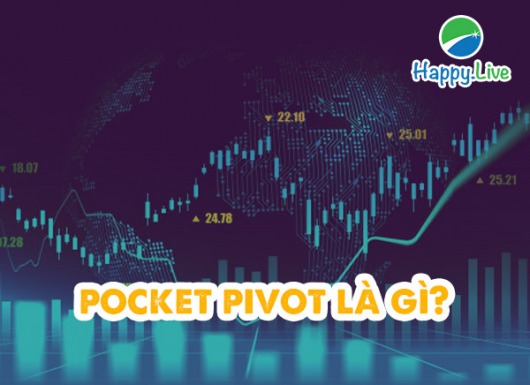 10 quy tắc trong điểm mua Pocket Pivot của Môn Đệ Chân Truyền O’Neil