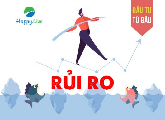 ĐẦU TƯ TỪ ĐÂU: Rủi ro trong đầu tư