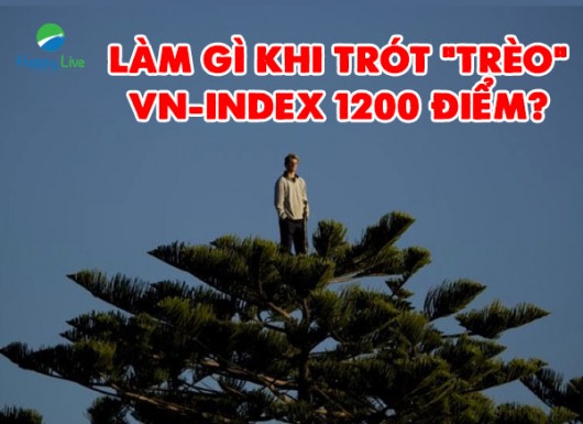 LÀM GÌ KHI TRÓT "TRÈO" VN-INDEX 1200 ĐIỂM?