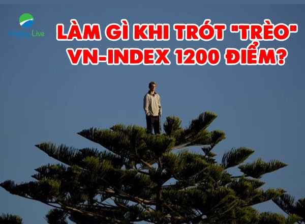 LÀM GÌ KHI TRÓT "TRÈO" VN-INDEX 1200 ĐIỂM?