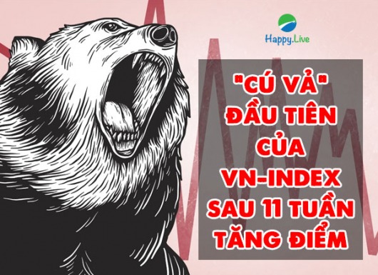 VN-INDEX DƯỚI GÓC NHÌN KỸ THUẬT: "CÚ VẢ" ĐẦU TIÊN CỦA VN-INDEX SAU 11 TUẦN TĂNG ĐIỂM (18/01/2021 - 22/01/2021)