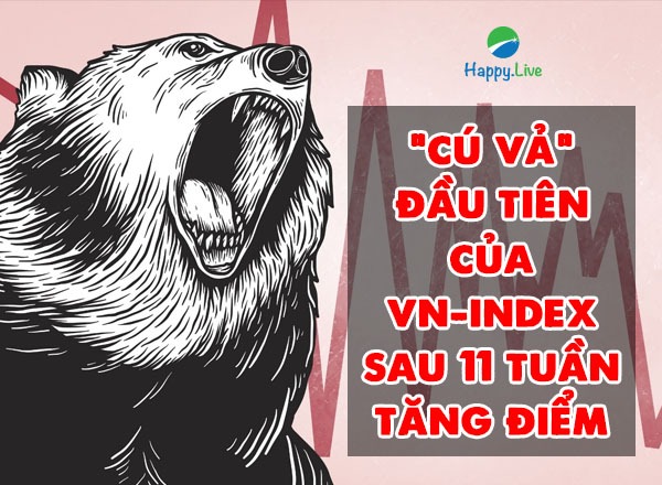 VN-INDEX DƯỚI GÓC NHÌN KỸ THUẬT: "CÚ VẢ" ĐẦU TIÊN CỦA VN-INDEX SAU 11 TUẦN TĂNG ĐIỂM (18/01/2021 - 22/01/2021)