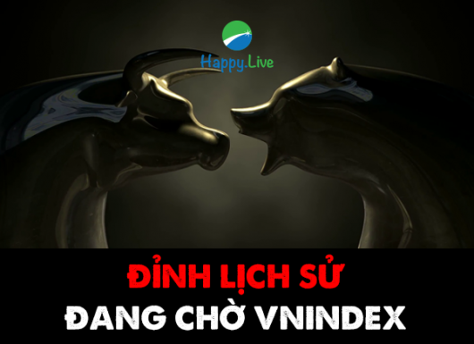 VN-INDEX DƯỚI GÓC NHÌN KỸ THUẬT: ĐỈNH LỊCH SỬ ĐANG CHỜ VN-INDEX (11/1/2021 - 15/1/2021)