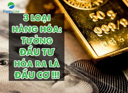 3 loại hàng hóa: Tưởng ĐẦU TƯ, hóa ra là ĐẦU CƠ !!!