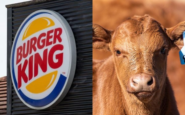 Burger King ưu tiên chuyển đổi số trong lần “thay áo” mới toàn diện đầu tiên sau hơn 20 năm