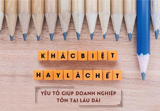 Mô hình kinh doanh đi trước, sản phẩm và thương hiệu theo sau