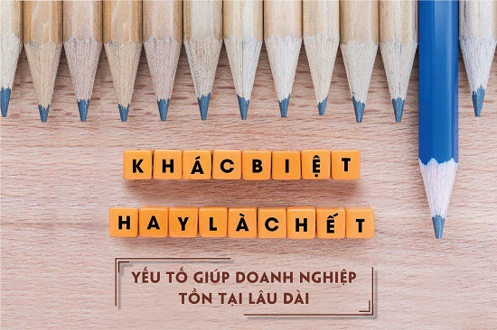Mô hình kinh doanh đi trước, sản phẩm và thương hiệu theo sau