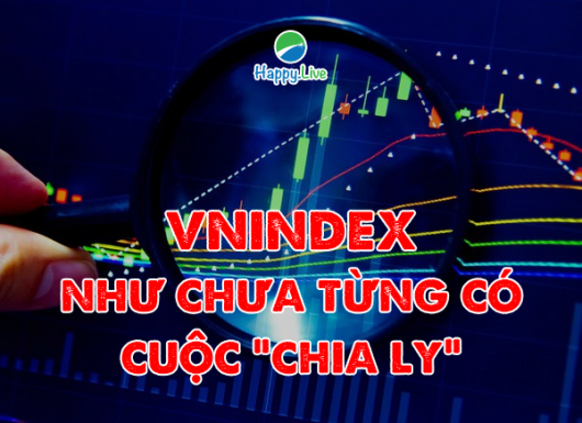 VN-INDEX DƯỚI GÓC NHÌN KỸ THUẬT: VN-INDEX NHƯ CHƯA TỪNG CÓ CUỘC "CHIA LY"? (01/02/2021 - 05/02/2021)
