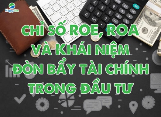 Chỉ số ROE, ROA và khái niệm ĐÒN BẨY TÀI CHÍNH trong đầu tư