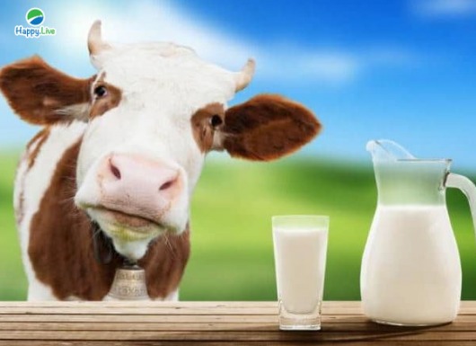 Giải thích 8 MÔ HÌNH KINH TẾ thông qua "Con bò và Hộp sữa"