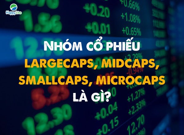 Nhóm cổ phiếu Largecap, Midcap,  Smallcap, Microcap  là gì?