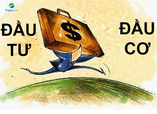 ĐẦU TƯ và ĐẦU CƠ