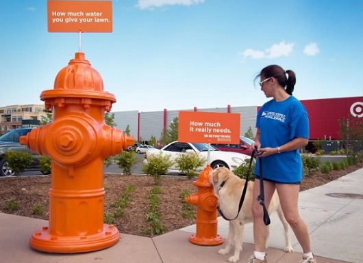 “Chỉ sử dụng những gì bạn cần”: Chiến dịch kêu gọi tiết kiệm nước của Denver Water
