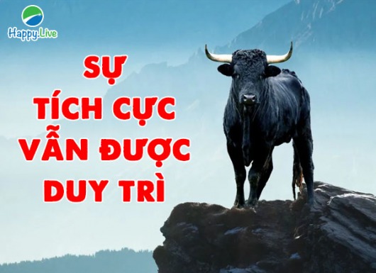 VN-INDEX DƯỚI GÓC NHÌN KỸ THUẬT: CHƯA PHẢI LÀ LÚC KẾT THÚC (17/05/2021 - 21/05/2021)