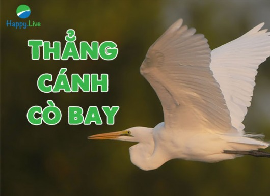 VN-INDEX DƯỚI GÓC NHÌN KỸ THUẬT: PHÍA TRƯỚC LÀ BẦU TRỜI CHO VNINDEX (24/05/2021 - 28/05/2021)