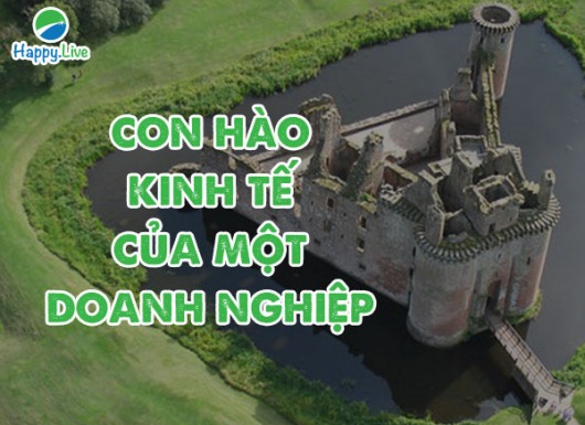 Con hào kinh tế (Moat) của doanh nghiệp là gì?