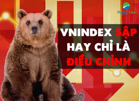 VN-INDEX DƯỚI GÓC NHÌN KỸ THUẬT: CÚ LẬT MẶT CỦA THỊ TRƯỜNG (05/07/2021 - 09/07/2021)