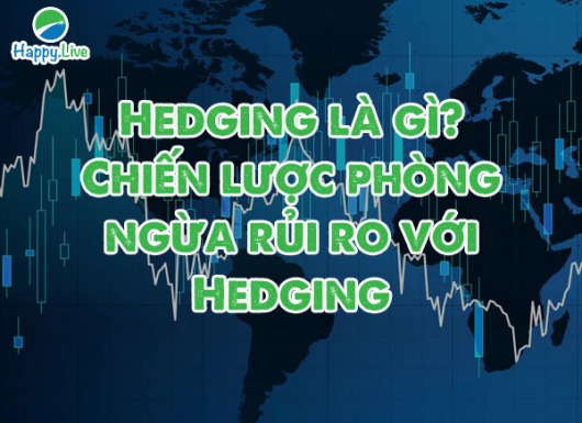 Hedging là gì? Chiến lược phòng ngừa rủi ro với Hedging