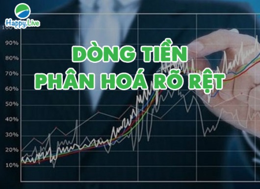 VN-INDEX DƯỚI GÓC NHÌN KỸ THUẬT: DÒNG TIỀN BẮT ĐẦU PHÂN HÓA (02/08/2021 - 06/08/2021)