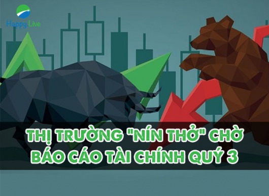 VN-INDEX DƯỚI GÓC NHÌN KỸ THUẬT: GDP QUÝ 3 GIẢM 6,17%, MÙA BÁO CÁO TÀI CHÍNH QUÝ 3 LIỆU VNINDEX SẼ RA SAO?