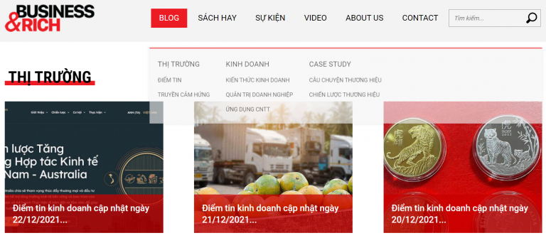 WEBSITE LÀM GIÀU TỪ KINH DOANH
