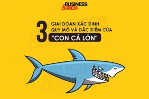 NUỐT CÁ LỚN – 3 đặc điểm xác định quy mô - Làm giàu từ kinh doanh