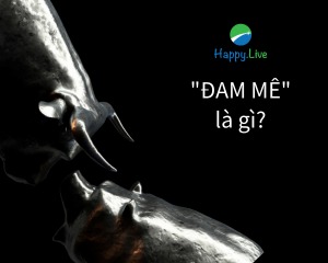[TÂM SỰ ĐẦU TƯ #123] - "ĐAM MÊ" là gì?
