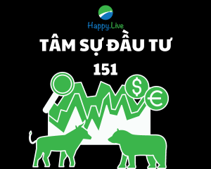 [TÂM SỰ ĐẦU TƯ #151] - Đầu tư theo các room và tin đồn, kết quả tài khoản âm gần 35%