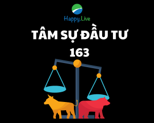 tâm sự đầu tư 163