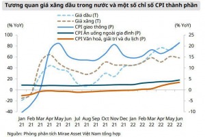 Chuyên gia lý giải vì sao giá xăng giảm nhưng các mặt hàng vẫn chưa giảm tương ứng - Happy Live